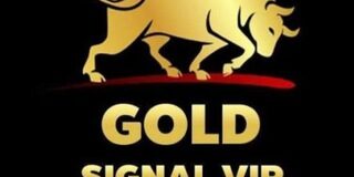 𝙁𝙊𝙍𝙀𝙓 𝙎𝙄𝙂𝙉𝘼𝙇𝙎 𝙂𝙊𝙇𝘿