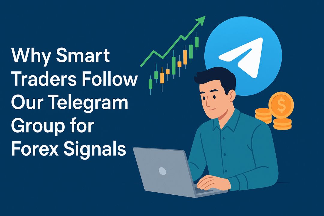 Why Smart Traders Follow Our Telegram Group for Forex Signals